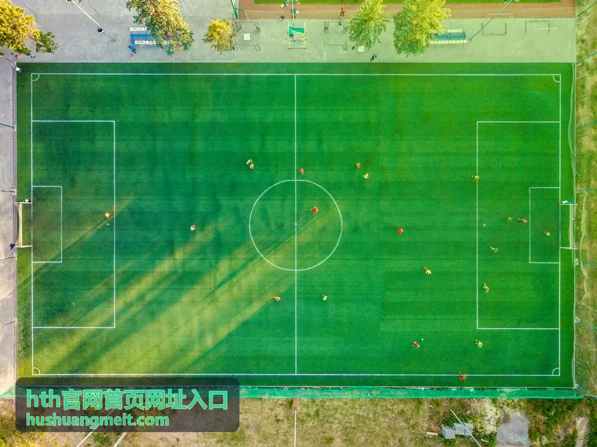 hth官网首页网址入口直达方式
