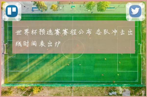 世界杯预选赛赛程公布 各队冲击出线时间表出炉